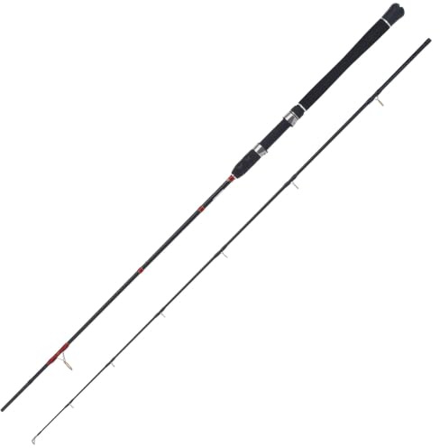 WFT Lord of THE Fjord Salzwasser-Spinnrute, 2,20m, Kohlefaser, 2-teilig, LTC Sport Ringe, Moosgummi-Griff, für Bootsangeln, Zielfischruten für Norwegen