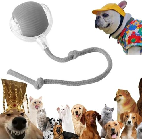 Interaktives Katzenball Spielzeug - Elektrisch Katzenball Katzenspielzeug | Katzen Sprint Ball | Indoor Katzenspielzeug Elektrischer Katzen Spielzeug Für Interaktion, Drinnen, Spielen, Kleine Katze