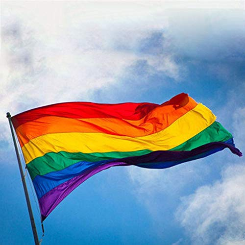Bandiera Pace Arcobaleno 7 Colori 90x150 cm – Gay Pride LGBT Flag – Tessuto Resistente con Occhielli – Per Esterni e Interni, Manifestazioni, Eventi e Decorazioni – Lavabile e Riutilizzabile