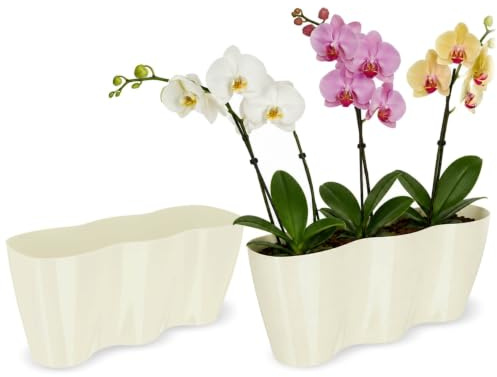 KADAX Grand Pot de Fleurs en Polypropylène pour Orchidées, Cache-Pot Élégant et Robuste pour Décoration Intérieure et Extérieure (35 x 16 cm, Crème)