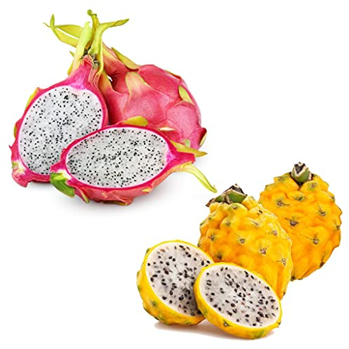 London Grocery Dragon Fruit Exotic & Tropical Fruits Hamper | Fresh Premium Selection Box | 6 Handpicked Fruits