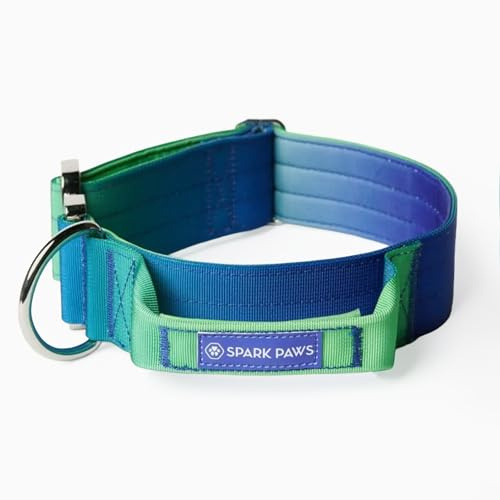 Spark Paws Taktisches Hundehalsband – strapazierfähig, Premium-Qualität, dick und langlebig für große und mittelgroße Hunde – Limettengrün – S: 16-25kg [3.8cm]