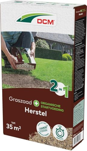 DCM Graines d'herbe Plus Récupération 0,5 kg – 35 m² – Récupération rapide et enracinement puissant