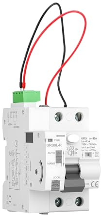 40A 300mA Salvavita Interruttore di Protezione da Perdite Tipo A con Interruttore a 2 Poli 220V Interruttore di Sicurezza Intelligente Dispositivo di Protezione Differenziale a Bassa Tensione