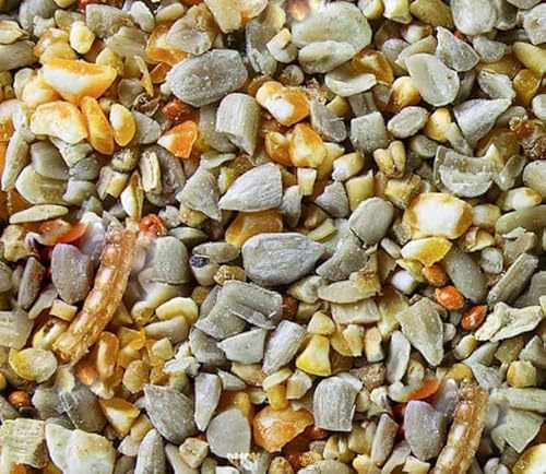 BusyBeaks Robin & Songbird Feed | Premium Grade Garden Wild Bird Feed | Husk Free, No Germinating Seeds | Includes Nutritious, Fresh and Natural Ingredients | Protein Fat Fibre Oil Vitamins (12.5kg)