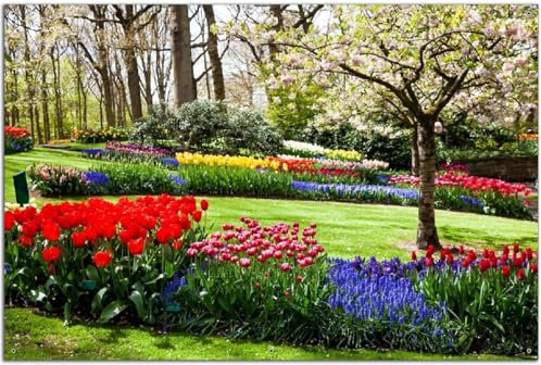 Wallario Outdoor-Poster für Garten oder Balkon Bunte Blumen und Kirsch-Baum im Park blühen im Frühling, Motivbanner Größe: ca. 60 x 90 cm, Outdoor-Bild
