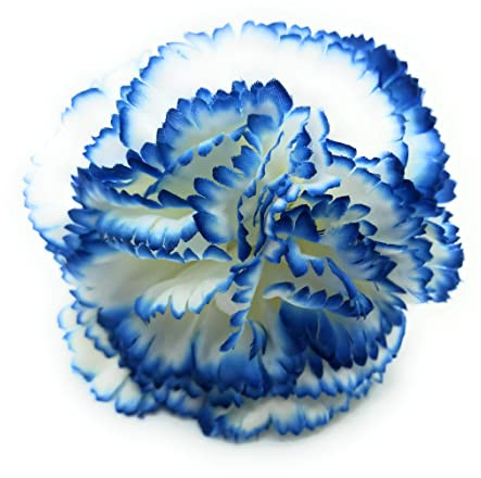 Garofani Fiori Tipici Fiamminghi Andalusia Ornamento Capelli Donna Ballo Fenicottero Fiore Fiamma Garofano Capelli Fiera di Aprile e Romeries, Bianco Blu Ø9cm