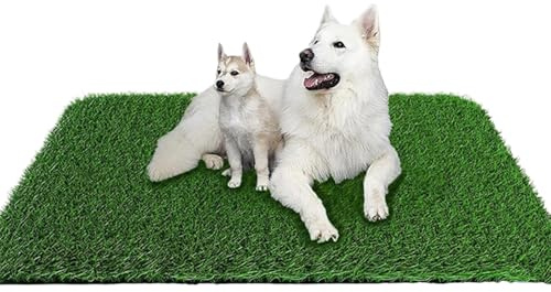 Alfombra de pipí para perros - Artificial de entrenamiento de limpieza para cachorros, alfombra de césped artificial para cachorros | para padres de mascotas ocupados profesionales Cag