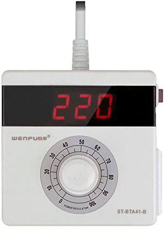 Jieotwice Convertidor de Alta Potencia Transformador de Seguridad Regulador de Tensión Electrónico Monofásico Toma de Regulación de Tensión 0-200V 4000W