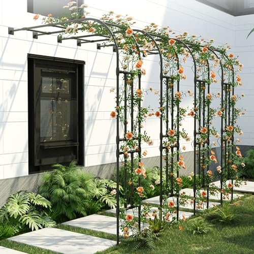Demi-Arche À Rosiers pour Plantes Grimpantes en Métal - Pergola pour Intérieur Extérieur Pelouse de Jardin - Assemblage Facile - Tuteur Colonne (Noir, 270W x H240cm)