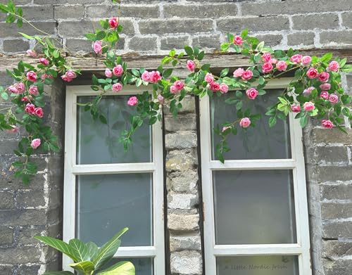 Shyshining 6FT Bendable Pink Rose Flower Garland, Artificial Silk Wild Roses Vine Leaves Hanging Flowers for Wall Fireplace Fence Trellis Wedding Baby Shower Room Home Spring Summer Decor(1PC)