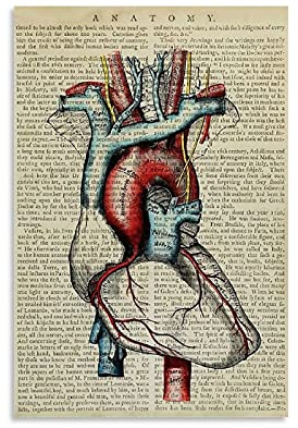 Smwy, poster vintage con anatomia del cuore, stampa artistica su tela e stampa artistica da parete, 60 x 90 cm