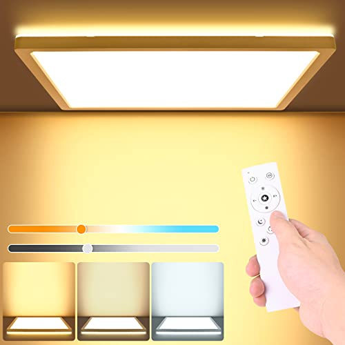 LEZOE LED Deckenleuchte Dimmbar, 24W LED Deckenlampe Dimmbar mit Fernbedienung 3000K-6500K, IP54 2.5cm Panel mit Hinterleuchtung für Wohnzimmer Badezimmer Flur Schlafzimmer Keller Balkon Küche 30cm