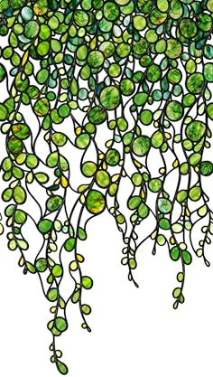 ChicSkin Original handgezeichnete Kunstglas-Fensterfolie, doppelseitig, durchsichtig, grün, für Wohnzimmer, Glastür, grüne Perlenrebe, 32 x 57 cm