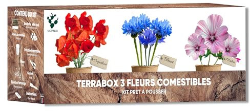 Kit Fiori Commestibili – Semi Bio Papavero, Viola, Fiordaliso – Mini giardino interno ed esterno – Regalo Cucina & Giardinaggio originale – DIY Deco ecologico – Made in France