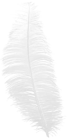 Plume d'autruche lâche 30 cm, sans Ruban.