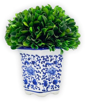 Galt International Preserved Natural Boxwood in Ceramic Pot - Plant and Table Centerpiece - Stunning Greenery and Plant Decor for Home - Blue & White (Small 7 Tall Topiary)