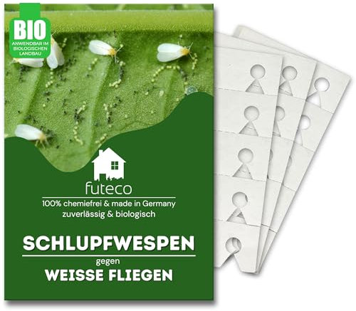 Futeco® – Schlupfwespen gegen Weiße-Fliegen – für 15m² Fläche – zum einfachen auslegen – 100% Biologisch, Chemiefrei & Natürlich – Made in Germany
