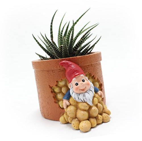 Riuulity Gnomi Vaso per Piante Grasse Dal Design Innovativo dei Nani, Materiale in Resina Premium, Ideale Come Ornamento da Giardino e Decorazione del Patio