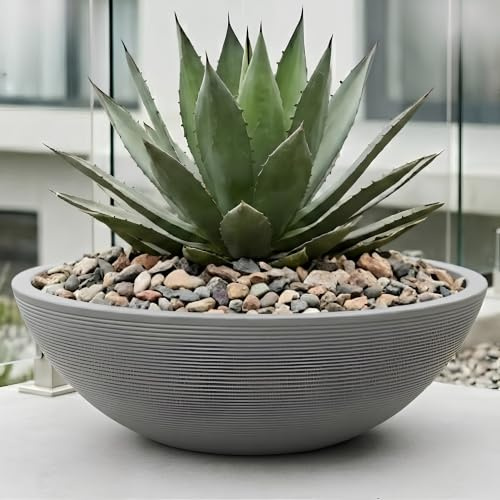 Trifibre Ascot Roto Moulded Planter 90.5cm, 145L, Concrete, Frost Proof | Rotomoulded lightweight garden plant pot with 145L capacity, frost-proof and UV-resistant, Ascot design planter.