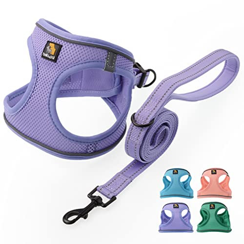 BELLA & PAL Dog Harness and Leash Set, Step-in Puppy Harness, Breathable Air Mesh with Reflective Strips, No Pull Vest for Puppies/Extra Small/Small Dogs, Purple, XS