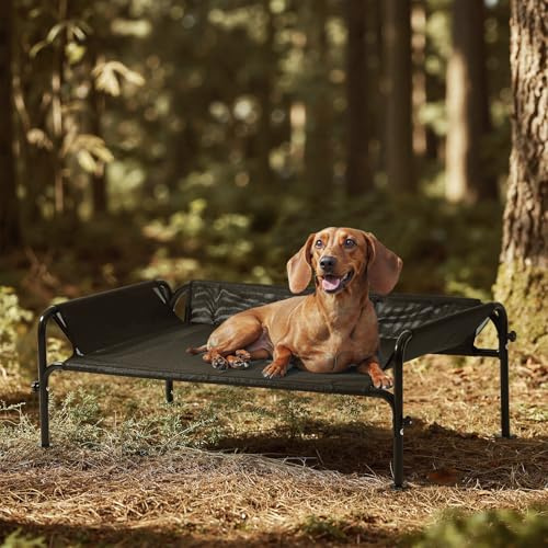 Gardner Pet Letto Rialzato per Cani Taglia Grande e Media, Brandina Traspirante da Esterno e Interno, Cuccia Estiva Resistente ai Graffi per Cani, Struttura in Metallo, Nero, S - Modello Standard