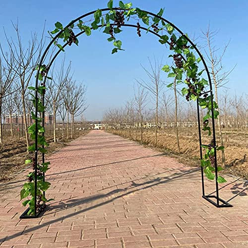 Gartenbogen Metall-Gartenbogen, wetterfester Rosenbogen, Lauben, Bogen für Kletterpflanzen, Pergola für drinnen/draußen, Hochzeitsbogen mit Sockel (Farbe: Schwarz, Größe: 350 x 220 cm)