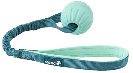 Coachi Puppy & Mini Tuggi Ball Hundespielzeug, Ideal für Zerrspiele & Spaß | Leicht, Robustes Hundespielzeug, Dehnbare Bungee-Griff, Belohnungstraining, Unterbricht Beißen & Kauen, Ideal für Agility