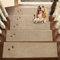 BEQHAUSE 15 peldaños antideslizantes para escaleras, 22 x 70 cm, lavable a máquina, para niños, ancianos y mascotas, 100% poliéster, color beige