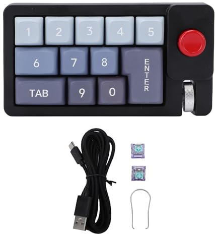 WOHPNLE Tastierino numerico meccanico cablato, tastierino numerico sostituibile a caldo di tipo C con retroilluminazione a LED 12 RGB, tastiera numerica per laptop, lavoro, giochi per PC (negro)