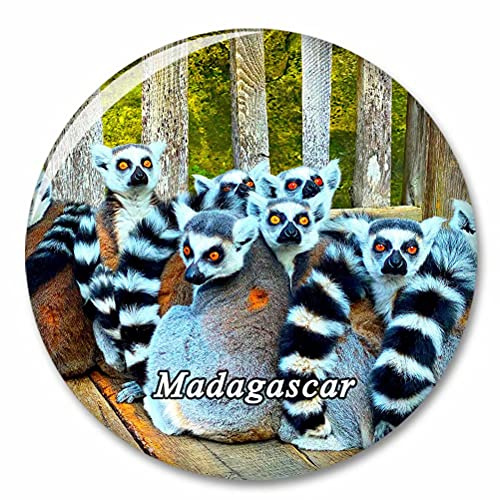 Madagaskar Kühlschrankmagnet Dekorativer Magnet Touristische Stadt Reise Souvenir Sammlung Geschenk Starker Kühlschrank Aufkleber
