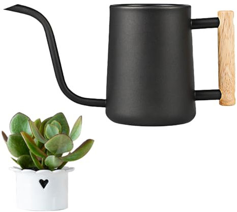 LPAMABA 1L Indoor Gießkanne Edelstahl Giesskanne Klein GießkanneGießkanne für Zimmerpflanzen Sukkulenten Mini Gießkanne SchwarzLPAMABA Hölzerner Duschtopf mit großer Kapazität aus Metall