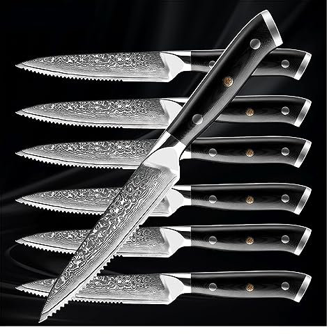 Set di coltelli da bistecca di Damasco Set giapponese VG10 in acciaio nero G10 con manico occidentale Coltello for la casa e il ristorante Coltelli for carne