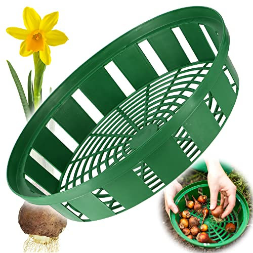 KADAX Cesto per piantare bulbi, cestino in plastica per coltivare piante da ortaggio, carrello per fiori in 2 forme per fiori primaverili (30 cm rotondo, 1 pezzo)