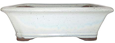 Brussel's Bonsai - Medium Ceramic Bonsai Pot, Rectangle Glazed Planter