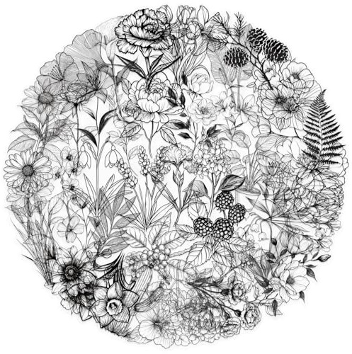 50Pcs Aesthetic Transparent Plant Stickers Black and White Vintage Retro Flower Plant Waterproof PET Stickers Decals for Laptop Journal Scrapbooking Wall Luggage Water Bottle Skateboard