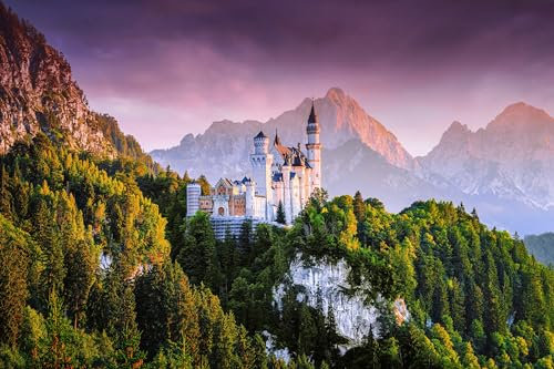 Puzzle für Erwachsene 1000 Teile Schloss Neuschwanstein Deutschland 52x38CM