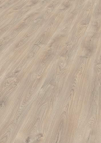 EGGER Basic Laminatboden EBL020 Belfort Eiche Silber (7mm, 2,494m²) | authentische Holzoptik | | Einfache Verlegung durch CLIC It System | Praktisch & wertbeständig, grau