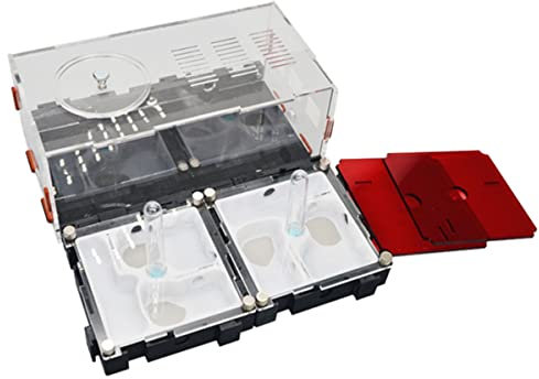 Unbegrenzte Erweiterung Ameisennest Ant Nest Acryl Ameisenfarm Ameisen Villa Formicarium Ameisenfutter Farm Haus Ameisen Zucht Box Für Ameisen Fütterung Habitat (Color : B)