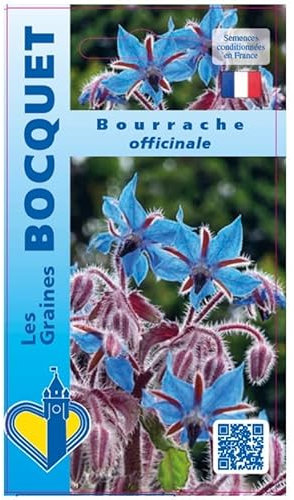 Sachet de graines de Bourrache Officinale - 2 g - LES GRAINES BOCQUET