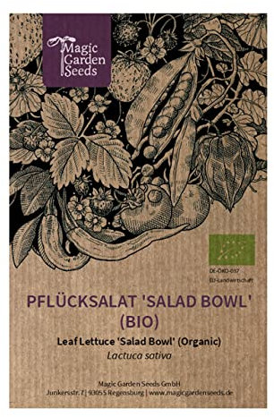 Lattuga da taglio 'Salad Bowl' (Lactuca sativa) biologica - circa 500 semi