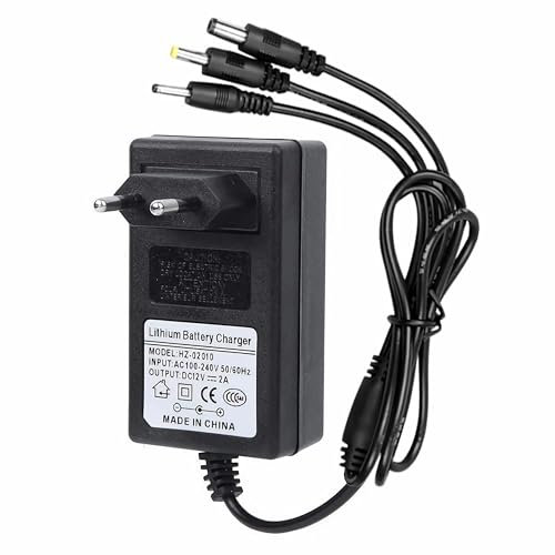 R49C 12V 2A Caricabatterie per auto elettriche e giocattoli, universale, compatibile con auto per bambini, moto, ATV, SUV, sicuro con indicatore LED e spina 3 in 1 (cavo da 190 cm)