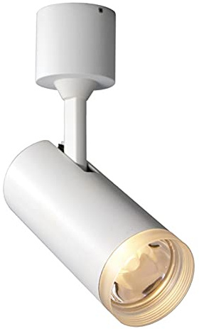 HWSY Plafoniera orientabile a 100° montata in Superficie Lampada da Parete 7W Faretto da Incasso a Montaggio Superficiale Negozio di Abbigliamento Mostra Luce Sfondo Fotografico Plafoniera da Parete
