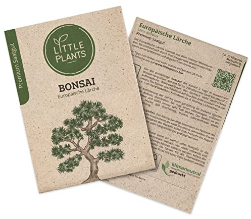 Bonsai Samen Lärche, 10 Bonsaisamen, hohe Keimrate von Little Plants, Wunderschöner Bonsai zur eigenen Anzucht, Nachhaltig Verpackt