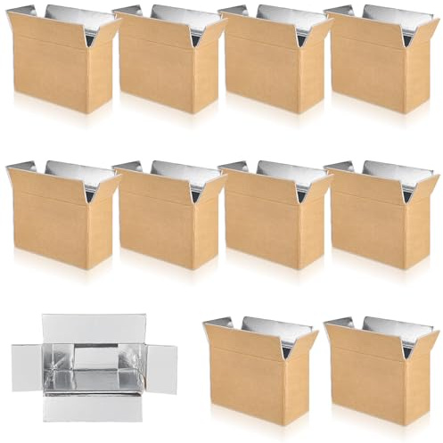 10 Pcs Insulated Shipping Box Cold Chill Double Insulated Carton with Foil Foam Cooler Boxes Delivery Moving Kits Foam Shipping Containers for Mailing Packing, Box Inside 8.66 x 4.52 x 6.3 in