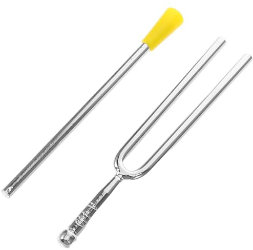 Totority Metall Stimmgabel 440 Hz mit Klöppel für Gitarre und Violine Standardpitch Lernwerkzeug für Musikunterricht und Übung mit Zubehör