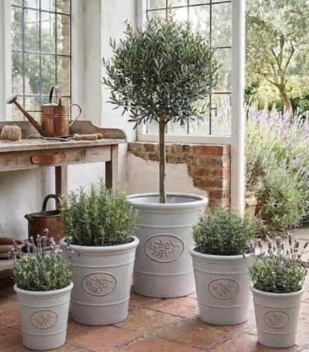 My Square Mile Garden Plant Pot Plastic, Light Grey, 40cm x 40cm 34 Litres | Outdoor & Indoor Use, Heavy Duty, Frost Proof, With Drainage Holes