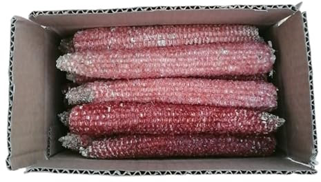 Helt naturlig omedelbar eldstartare för grillning, lägereld, pizzaugn, eldstad, kol (50, 1 påse)