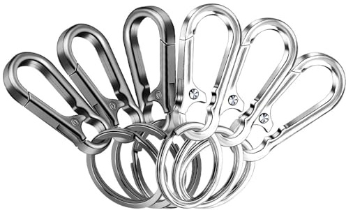 6 Piezas Mosquetón Llavero, Mosquetón Pequeño Mosquetón de Metal Clave, Mosquetón Desmontable, Llavero con Mosquetón para Mochila, Senderismo, Llaves del Coche (Plata/Gris Negro)