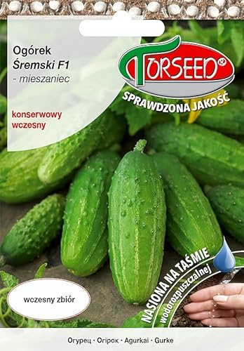 Verdica Frühe Ernte Šremski F1 Gurken Cucumis sativus Samen – Ideal zum Einlegen, Krankheitsresistent, Innovatives wasserlösliches Saatband, Sehr produktiv, 40 Samen (40 Samen)